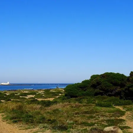 Marisma Sancti Petri Chiclana de la Frontera