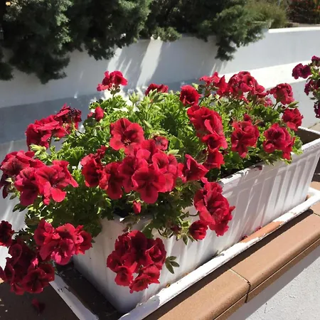 Marisma Sancti Petri Hotel 3*