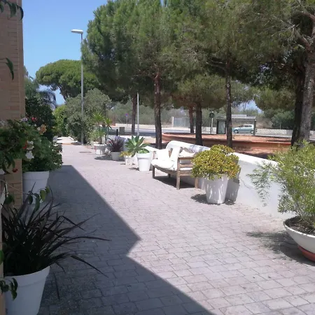 Marisma Sancti Petri 3*